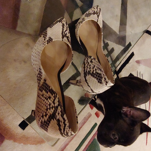 Lord & Taylor Python designed stilettos - Picture 5 of 5